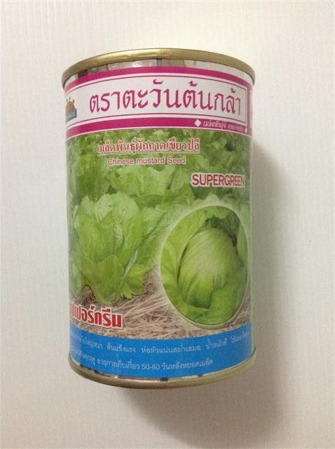 ผักกาดเขียวปลี