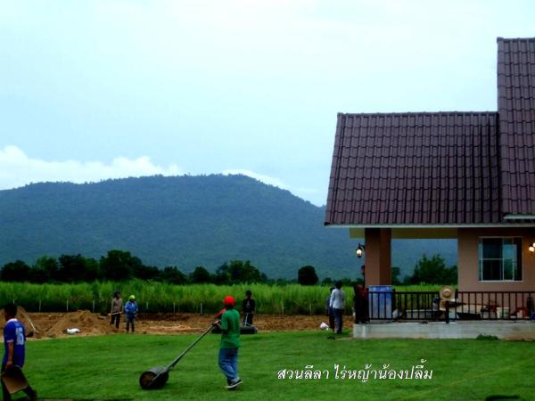 ปูหญ้า | สวนลีลา ไร่หญ้าน้องปลื้ม - เมืองปทุมธานี ปทุมธานี