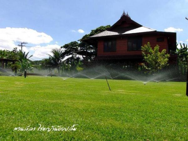 รับปูหญ้า | สวนลีลา ไร่หญ้าน้องปลื้ม - เมืองปทุมธานี ปทุมธานี