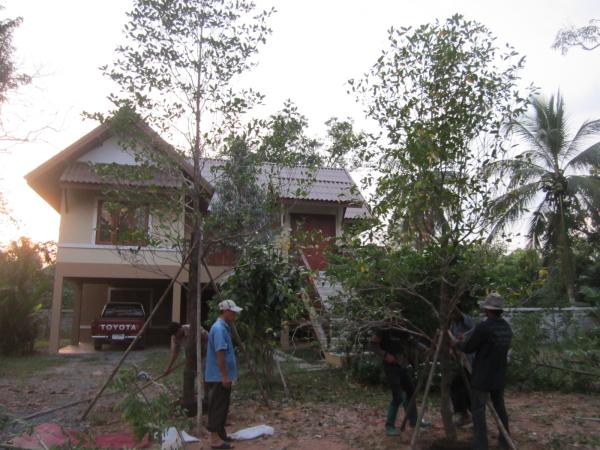 งานจัดสวน บ้านลูกค้า | ประจวบพันธ์ไม้ - เมืองปราจีนบุรี ปราจีนบุรี