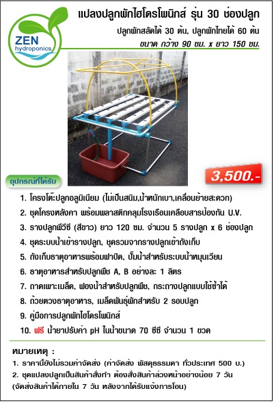 แปลงปลูกผักไฮโดรโพนิกส์รุ่น 30 ช่องปลูก