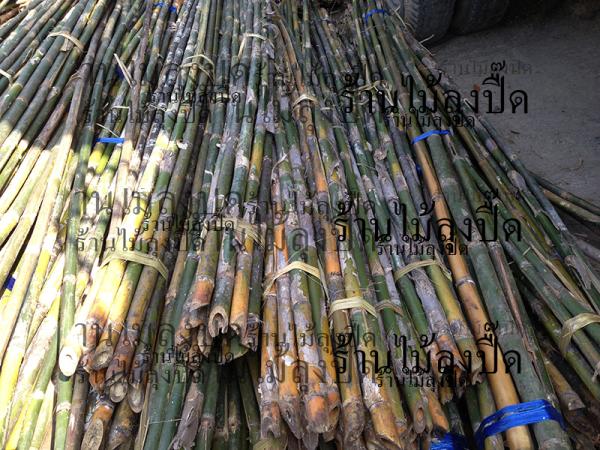 ไม้ลวก | ร้านไม้ลุงปื๊ด -  นครปฐม