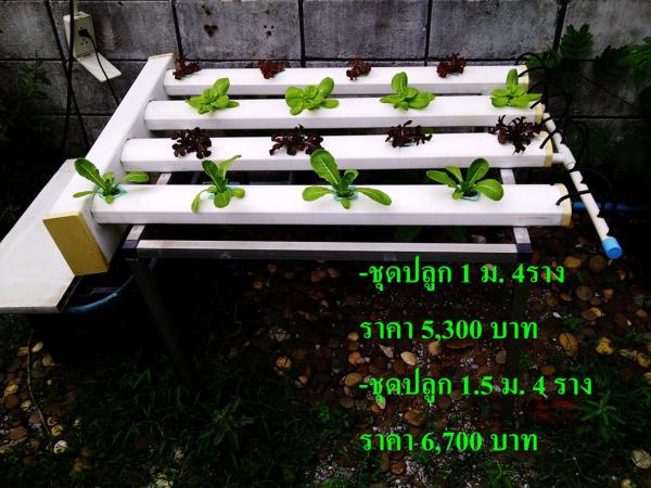 ชุดปลูก ขนาด 1ม. 4ราง และ 1.5ม.4ราง | Fresh Garden Hydroponics Center - คลองเตย กรุงเทพมหานคร