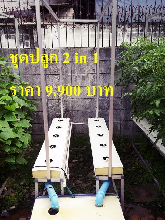 ชุดปลูก 2 in 1(มะเขือเทศ,อื่นๆ) ขนาด 1.5ม. | Fresh Garden Hydroponics Center - คลองเตย กรุงเทพมหานคร