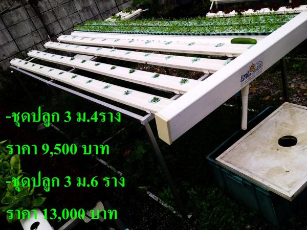 ชุดปลูก ขนาด 3ม. 4ราง และ 3ม. 6ราง | Fresh Garden Hydroponics Center - คลองเตย กรุงเทพมหานคร