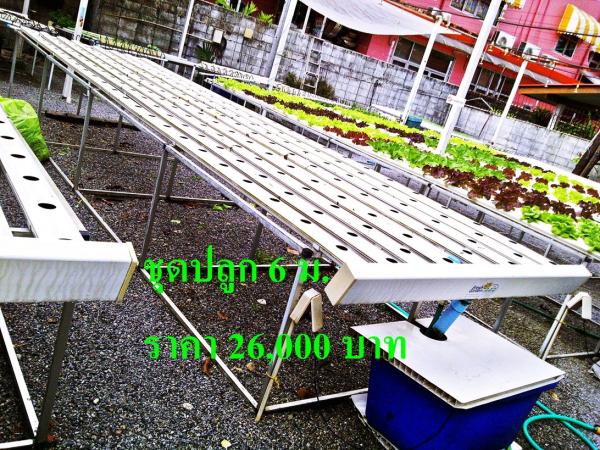 ชุดปลูก ขนาด 6ม. 8ราง | Fresh Garden Hydroponics Center - คลองเตย กรุงเทพมหานคร