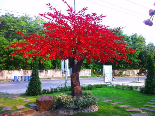 ต้นเหมยสีแดง ลำต้นไฟเบอร์ 5 เมตร งานเช่า | ธนพลต้นไม้ประดิษฐ์ -  กรุงเทพมหานคร