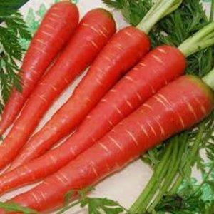 เมล็ดพันธุ์ Atomic Red  Carrot