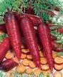 เมล็ดพันธุ์ Cosmic Purple Carrot