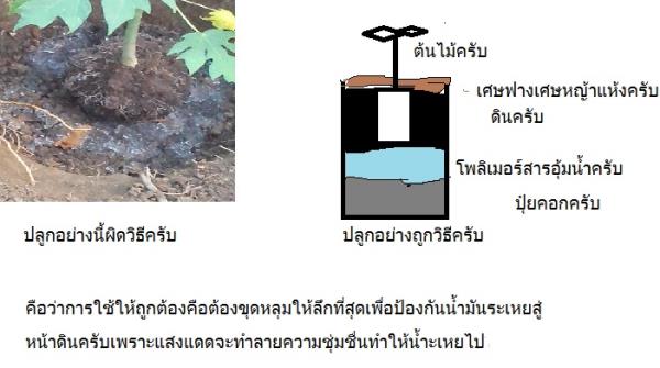 โพลิเมอร์ขายปลีกอย่างเม็ดใหญ่สุด