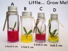 Little Grow Me | GrowMe -  กรุงเทพมหานคร