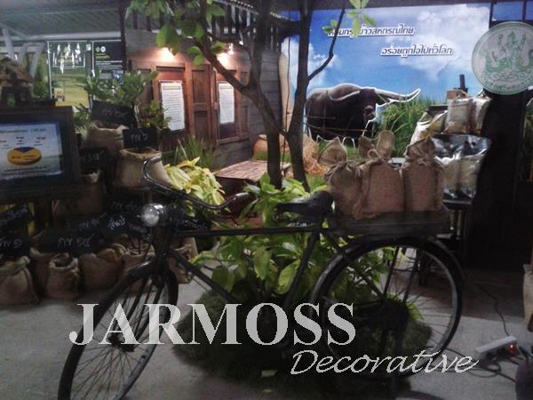 Event ตกแต่งสถานที่ | Jarmoss -  กรุงเทพมหานคร