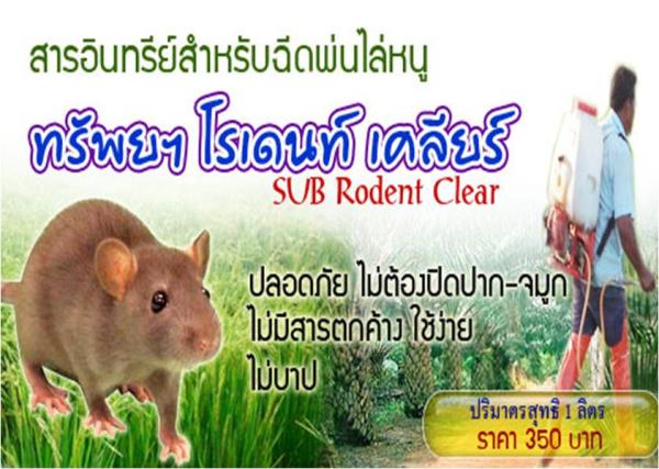 สารอินทรีย์ไล่หนู,ป้องกันแมลงวันทองในผัก | พัทลุง  เกษตรอินทรีย์ - เมืองพัทลุง พัทลุง