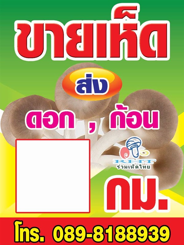 ขายดอกเห็ด,ก้อนเชื้อเห็ด | ฟาร์มร่วมเห็ดไทย - คง นครราชสีมา