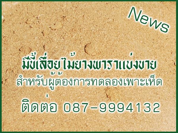 ขี้เลื่อยไม้ยางพารา | SORN WAN - ไทรน้อย นนทบุรี