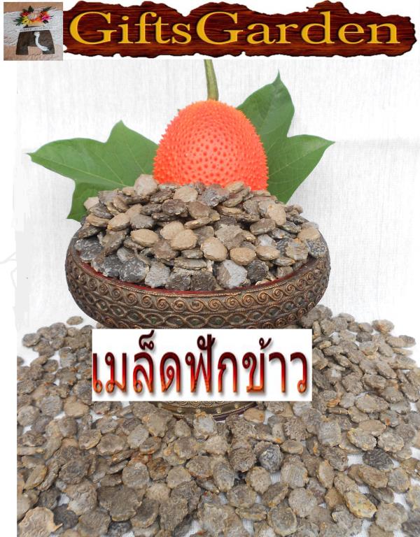 เมล็ดฟักข้าว