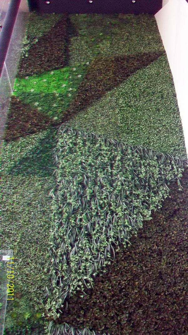 หญ้าปลอมจัดสวนแนวตั้ง | ต้นไม้ประดิษฐ์เหมือนจริง - พระโขนง กรุงเทพมหานคร