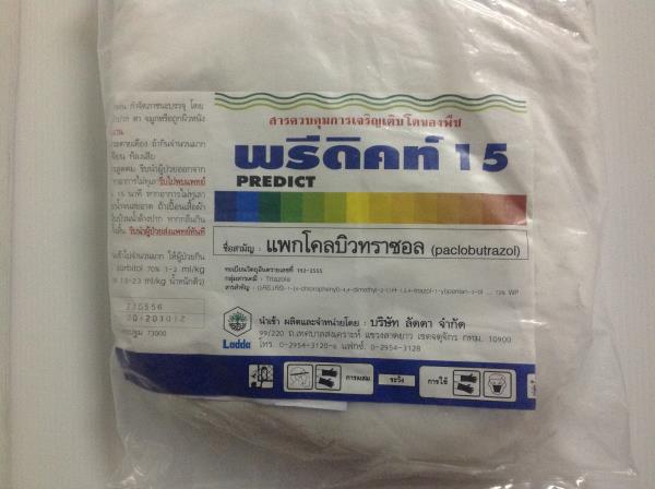 พรีดิคท์ 15 | ชัยดีเมล็คพันธุ์ผัก -  สระบุรี