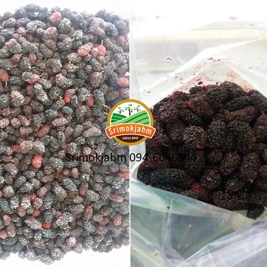 มัลเบอร์รี่แช่แข็งIQF(Frozen Mulberry)