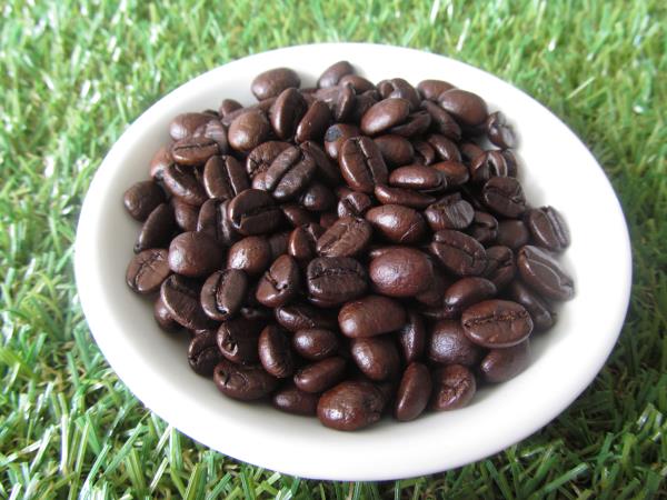 กาแฟอะราบีก้า 100 %  ปลอดสารเคมี | OPF: Organic&Premium Food - หัวหิน ประจวบคีรีขันธ์