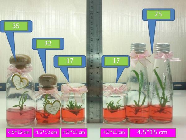 ต้นไม้ในขวด | เกษศิรินทร์เพาะเลี้ยงเนื้อเยื่อ -  กรุงเทพมหานคร
