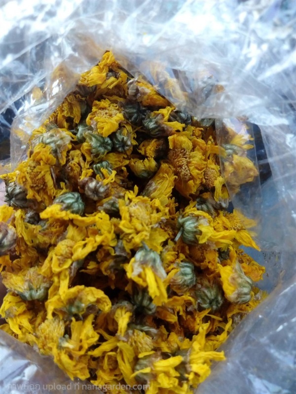 ดอกเก๊กฮวยแห้ง Dried Chrysanthemum ขายส่ง ขายปลีกพร้อมส่ง | บริษัท ชัยชาดา จำกัด -  กรุงเทพมหานคร