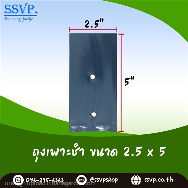 ถุงเพาะชำอย่างดี ขนาด 2.5 นิ้ว x 5 นิ้ว | SSVPSHOP -  สมุทรสาคร