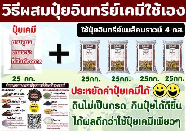 ปุ๋ยอินทรีย์ มูลค้างคาว มูลไก่ไข่ มูลสุกร โดโลไมท์ อัดเม็ด | ร้าน ว.เกษตร จันทบุรี - เมืองจันทบุรี จันทบุรี