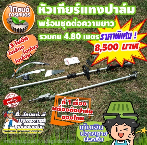 อุปกรณ์ตัดปาล์มน้ำมัน เสียม เคียว ใบเลื่อย โทร.0932838159 | ไทยนต์การเกษตร - จตุจักร กรุงเทพมหานคร