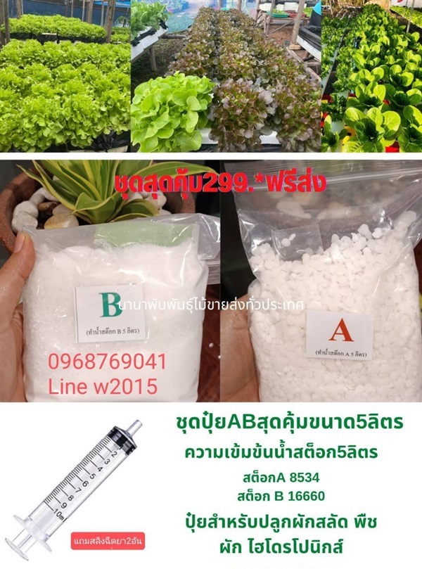 ปุ๋ยAB ปุ๋ยน้ำสำหรับปลูกผักไฮโดรโปรนิกส์ | ห้างหุ้นส่วนจำกัด แกรนด์การ์เด้น พลัส - คลองหลวง ปทุมธานี