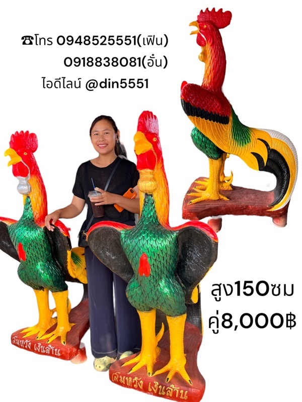 ไก่ชนแก้บน | ด่านเกวียนเดคคอร์ - โชคชัย นครราชสีมา