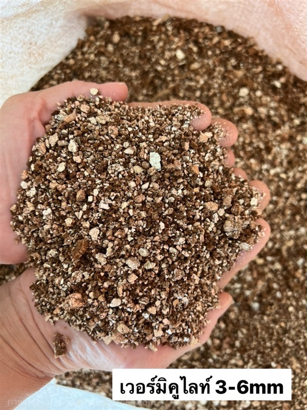เวอร์มิคูไลท์ Vermiculite 100ลิตร 3-6mm | บริษัท จอมทอง ฟาร์ม ชอป จำกัด - บางใหญ่ นนทบุรี
