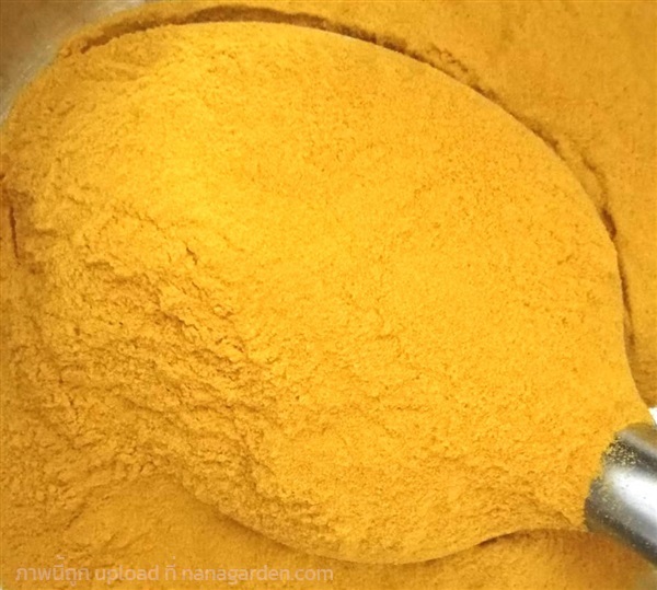 ผงฟักทองแท้ Pumpkin powder | ไบโอคอนซูมเมอ โปรดักซ์ - ดอนเมือง กรุงเทพมหานคร