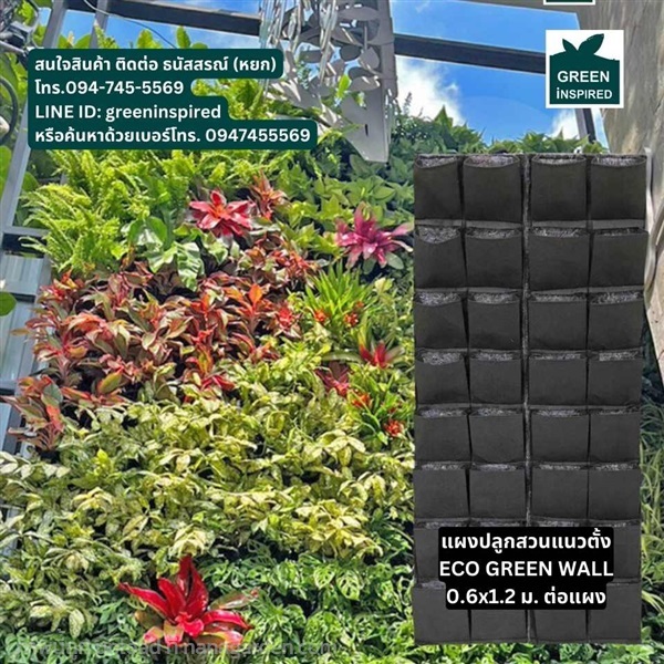 แผงสวนแนวตั้งราคาประหยัด Eco green wall | Greeninspired - บางขุนเทียน กรุงเทพมหานคร