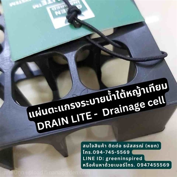 แผ่นตระแกรงระบายน้ำใต้ดิน Drainage cell  | Greeninspired - บางขุนเทียน กรุงเทพมหานคร