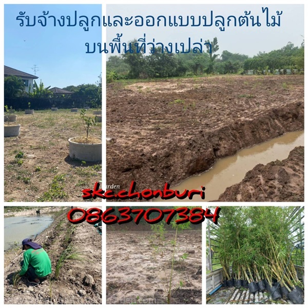 รับจ้างออกแบบและปลูกต้นไม้บนพื้นที่ว่างเปล่า | SKC Chonburi - เมืองชลบุรี ชลบุรี