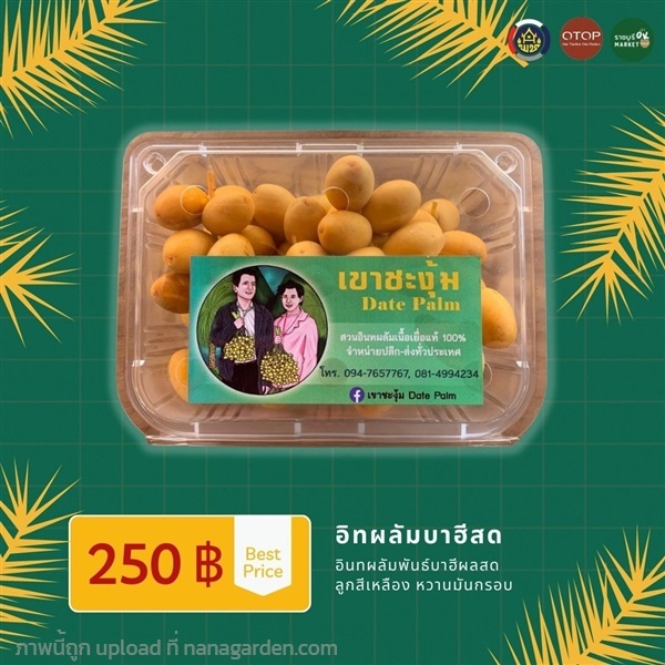 อินทผลัมบาฮีสด | ราชบุรี OK Market - เมืองราชบุรี ราชบุรี