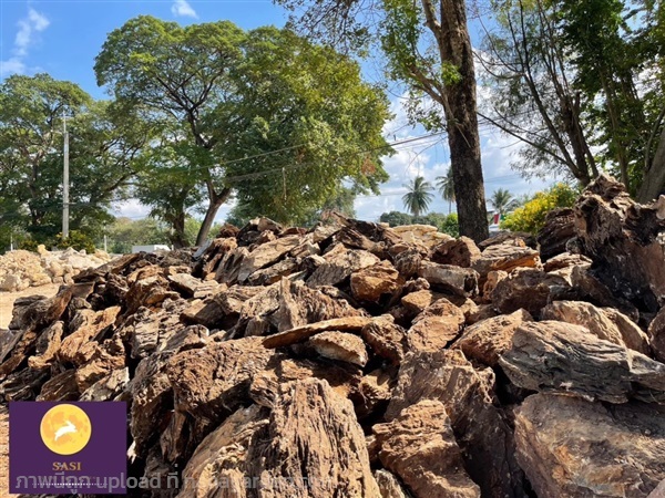 หินชั้นภูเขา ราคาถูก พร้อมส่ง | ศศิหินธรรมชาติ - เมืองกาญจนบุรี กาญจนบุรี