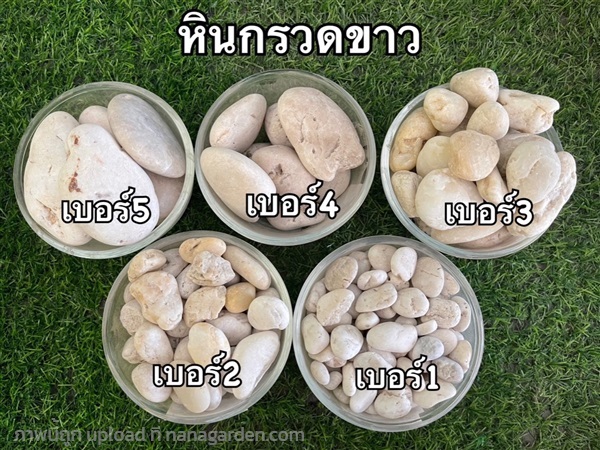 หินกรวดดำแม่น้ำโขง  มีเบอร์ 1-5   | โชคศิริหินธรรมชาติ - ท่าม่วง กาญจนบุรี