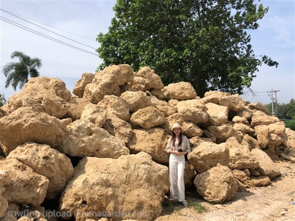 หินฟองน้ำ | โชคศิริหินธรรมชาติ - ท่าม่วง กาญจนบุรี