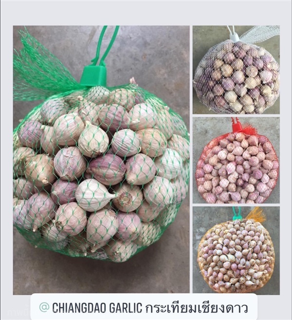 กระเทียมโทนคละขนาด 10 กิโลกรัม | Chiangdao Garlic กระเทียม - เชียงดาว เชียงใหม่