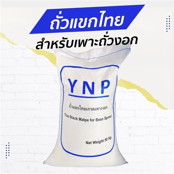 ถั่วแขกไทย YNP สีน้ำเงิน (สำหรับเพาะถั่วงอก) | บริษัท อยู่นิรันดร์พืชผล จำกัด - วิหารแดง สระบุรี