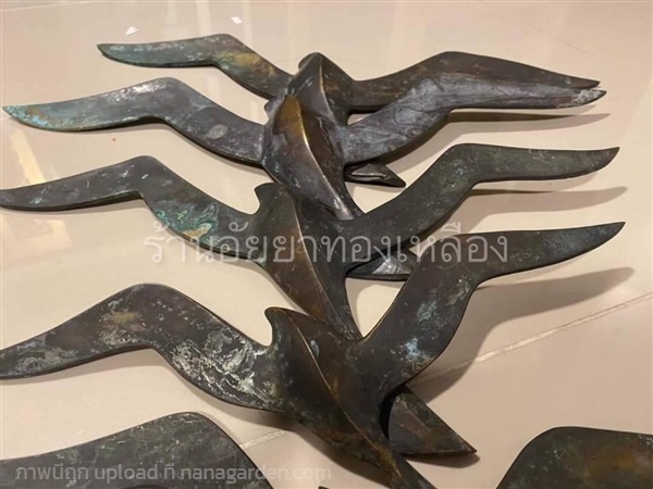 นกบินเนื้อทองเหลืองเก่า  จำหน่ายแล้วค่ะ | อัยยา - บางกรวย นนทบุรี