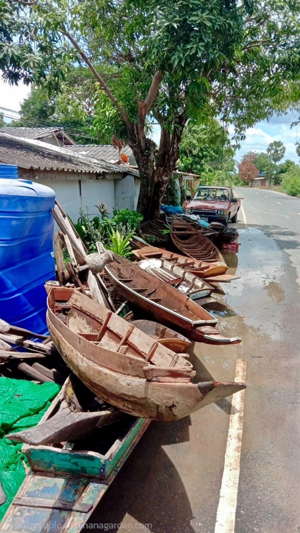 เรือพายไม้สัก ขนาดยาว2เมตร เรือไม้สักโบราณ เรือไม้ | ร้านวังโบราณ - บางบัวทอง นนทบุรี