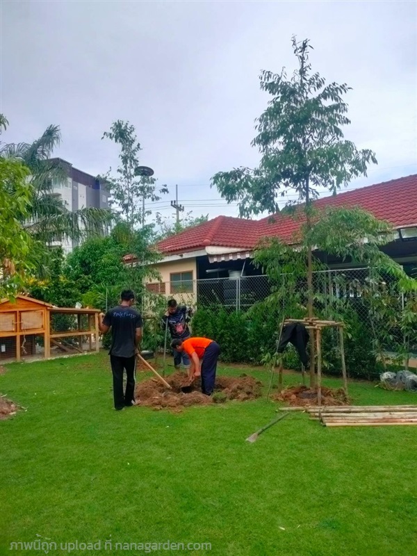 รีวิวจัดสวนลูกค้า | สุนิธิพันธ์ไม้ -  ปราจีนบุรี