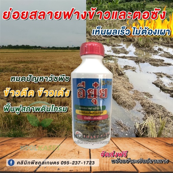 สลายฟางข้าว อียุ๋ย 1 ลิตร คูลเกษตร KP12 | คลินิกพืชคูลเกษตร - ชุมตาบง นครสวรรค์