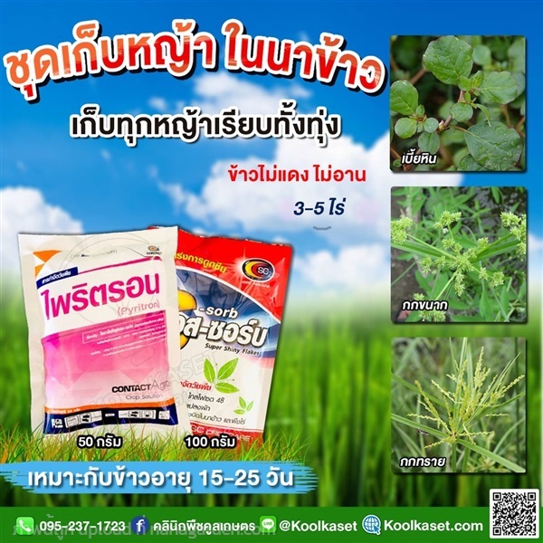 กำจัดวัชพืช ไพริตรอน+เอสซอร์  คูลเกษตร 24 | คลินิกพืชคูลเกษตร - ชุมตาบง นครสวรรค์