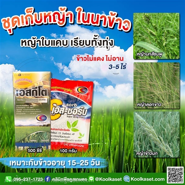 กำจัดหญ้า 3-5 ไร่  คูลเกษตร KP33 | คลินิกพืชคูลเกษตร - ชุมตาบง นครสวรรค์