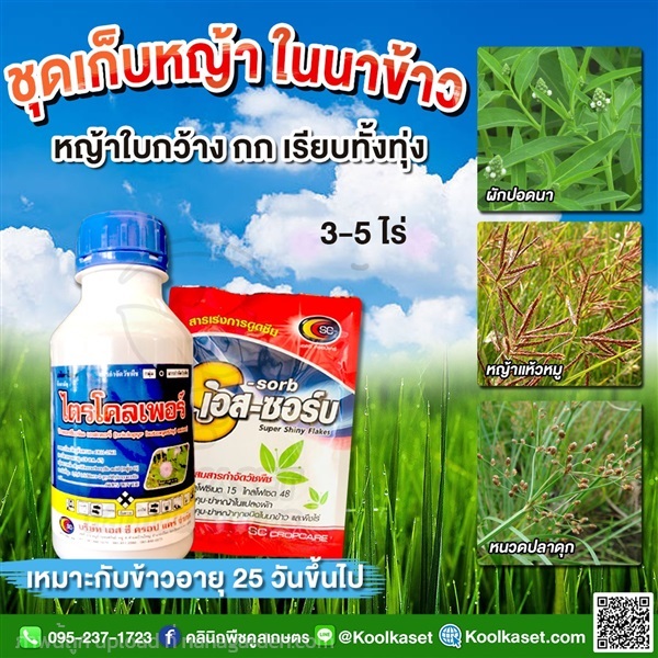 กำจัดหญ้า ไตรคลอร์เพอร์+เอสซอร์บ คูลเกษตร KP35 | คลินิกพืชคูลเกษตร - ชุมตาบง นครสวรรค์