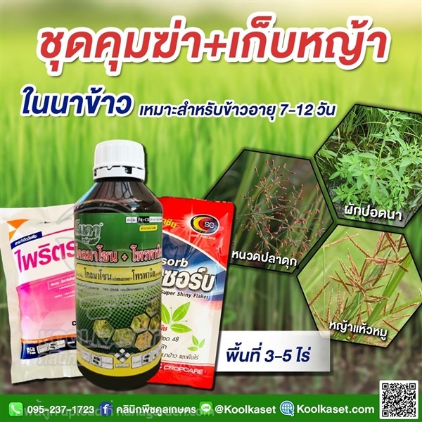 กำจัดหญ้า ในนาข้าว 3-5 ไร่  คูลเกษตร KP39 | คลินิกพืชคูลเกษตร - ชุมตาบง นครสวรรค์